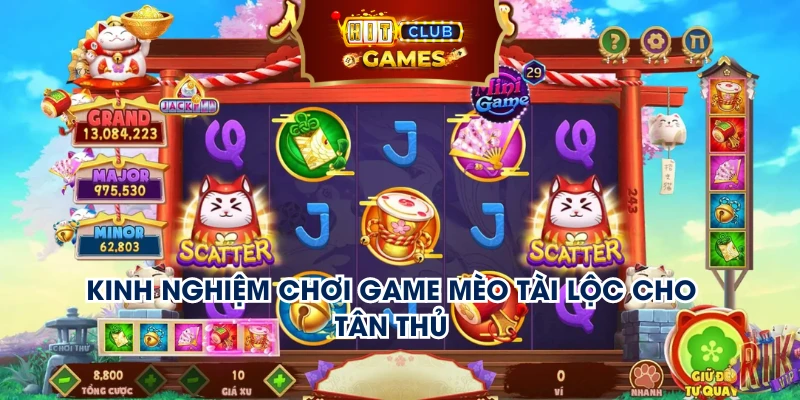 Kinh nghiệm chơi game Mèo Tài Lộc cho tân thủ