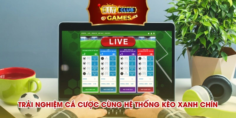 Đến với thể thao hitclub để trải nghiệm cá cược cùng hệ thống kèo xanh chín