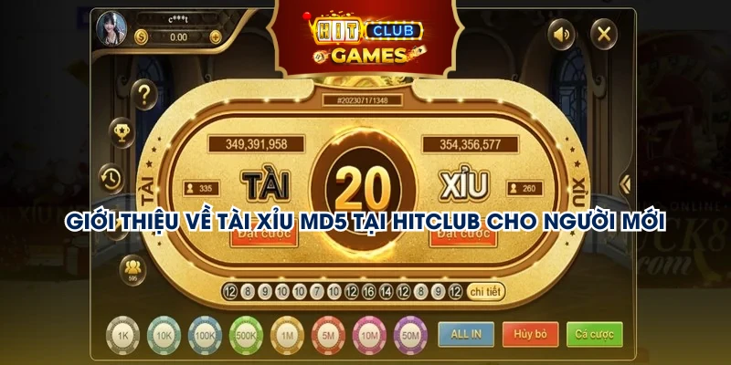 Giới thiệu về tài xỉu MD5 tại Hitclub cho người mới