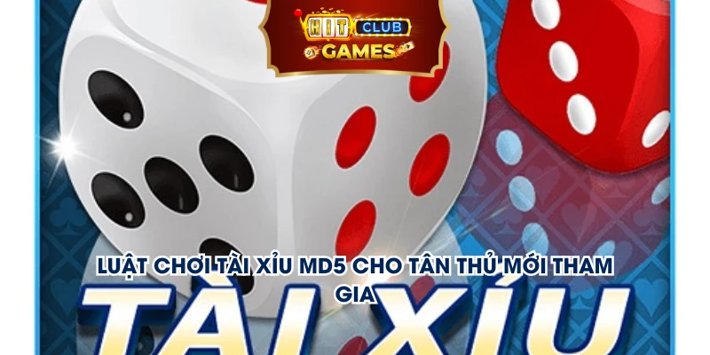 Luật chơi tài xỉu MD5 cho tân thủ mới tham gia